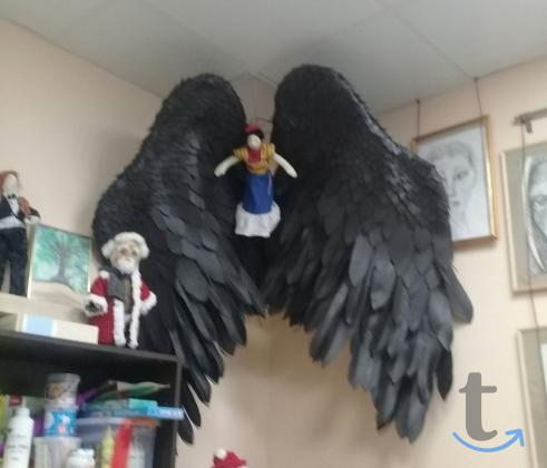 САМАРА. Предлагаю черные крылья для фотосессии в Самаре